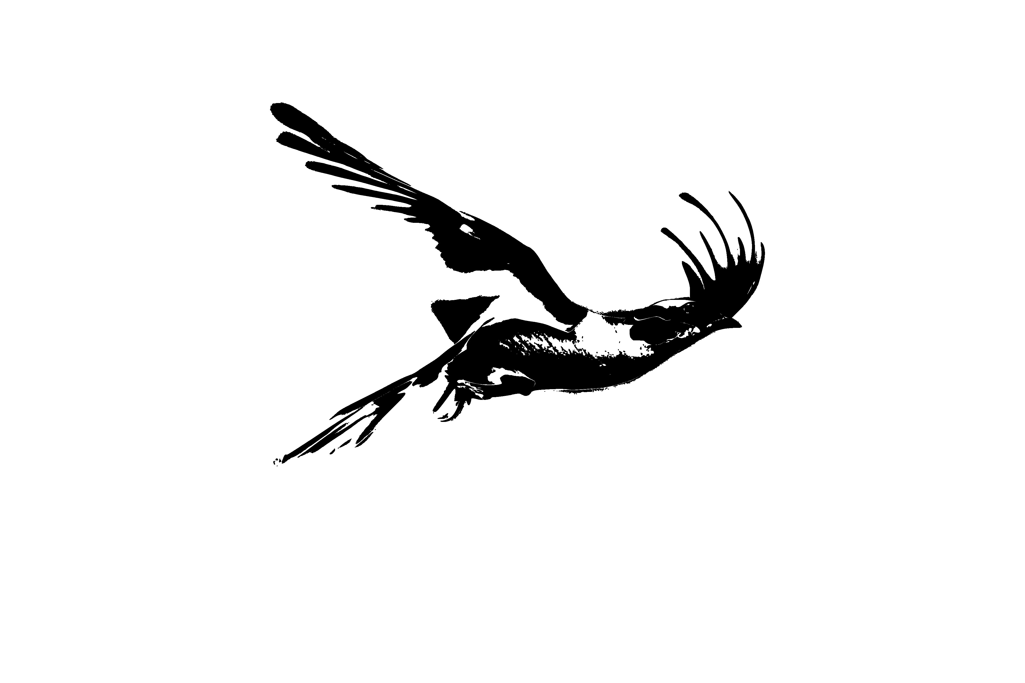 bird inkscape silhouette