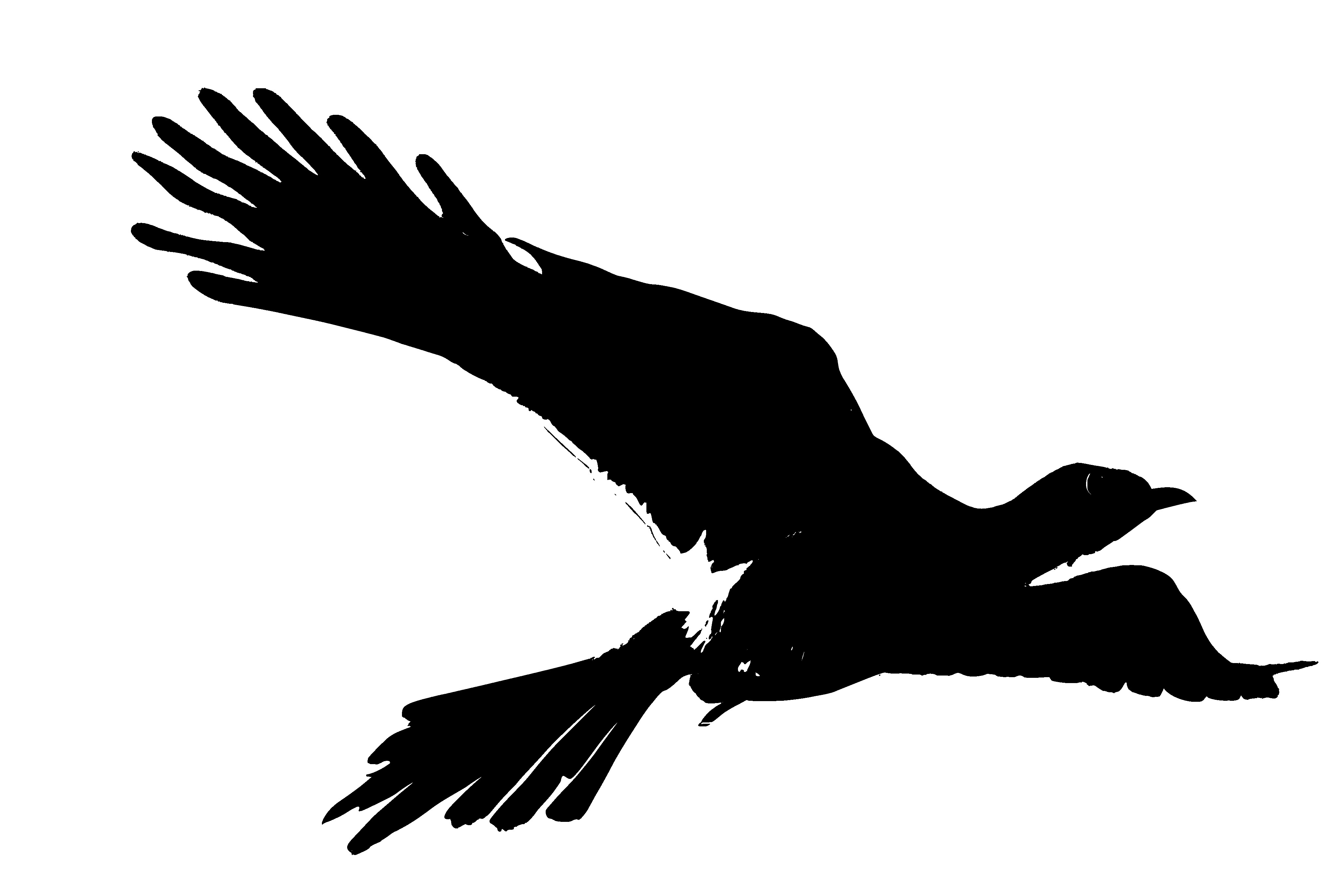 bird inkscape silhouette2