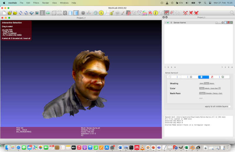 3D scanned selfie