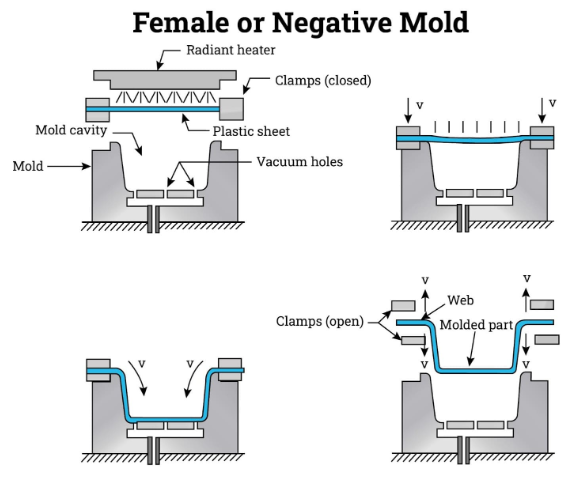 female mold