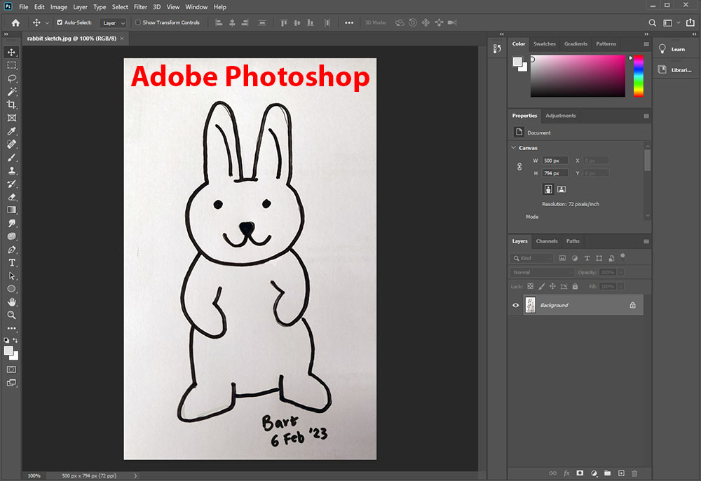 Pic of Vector file of rabbit
