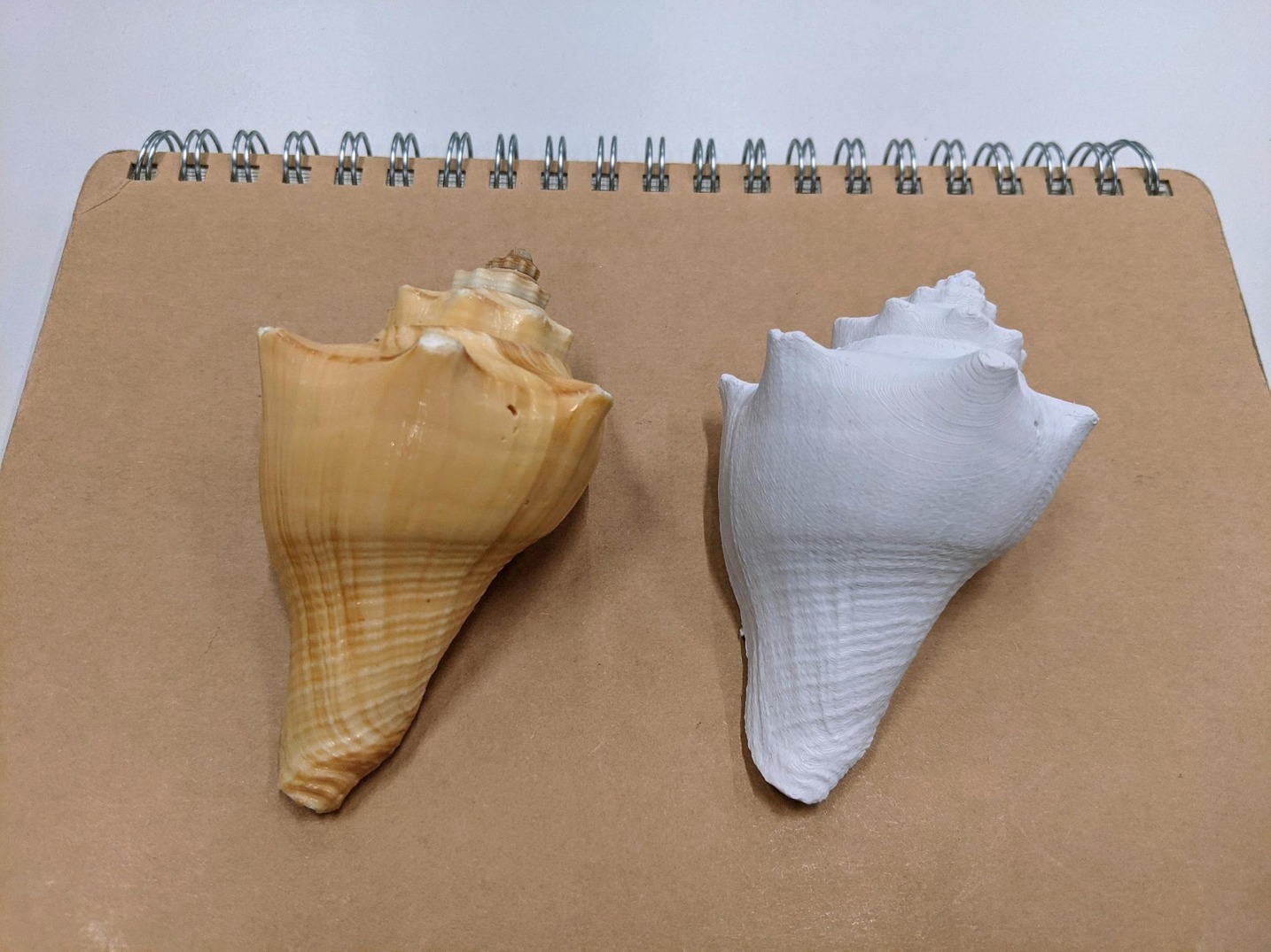 shell print