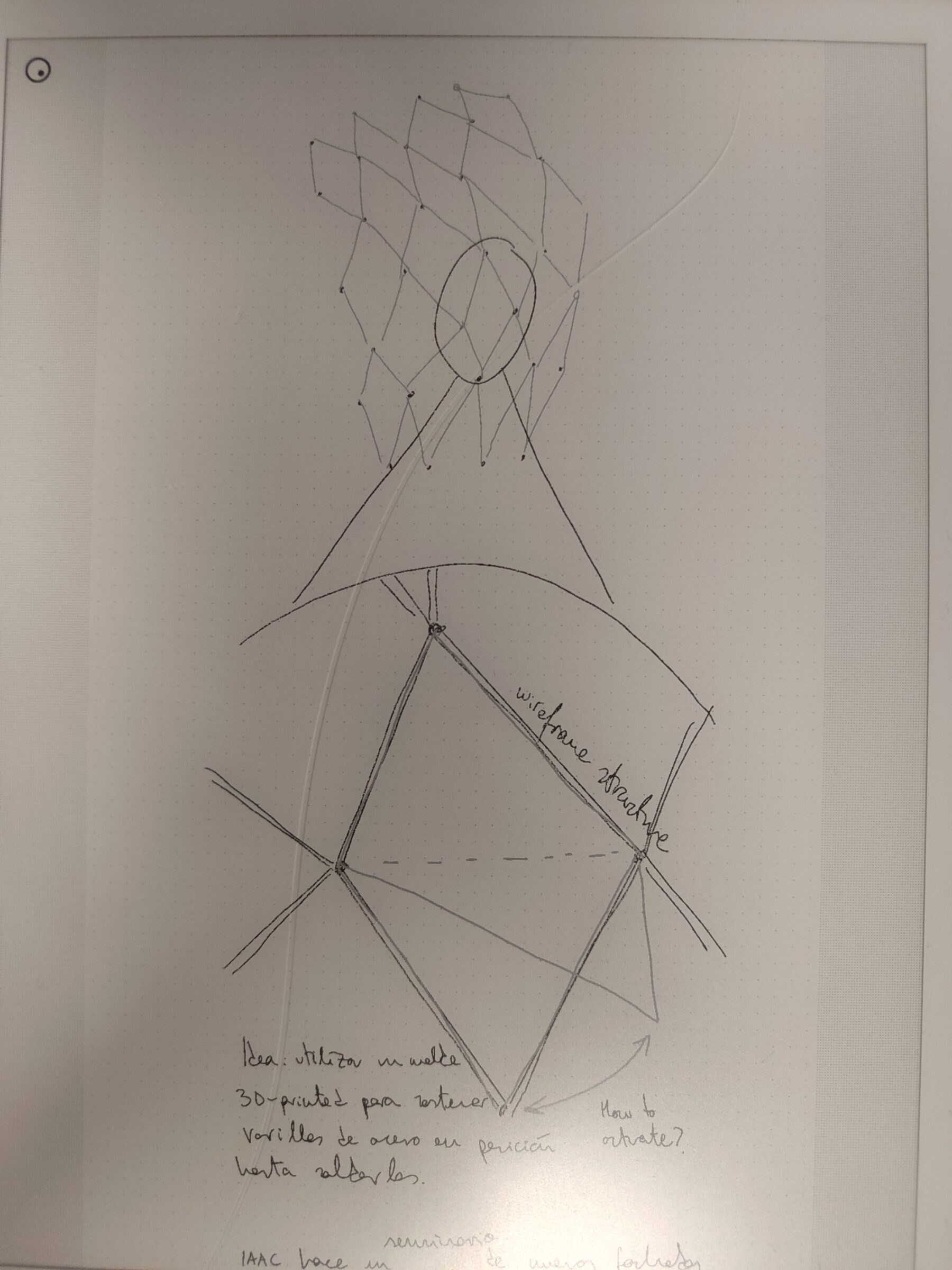 Parametric trellis sketch