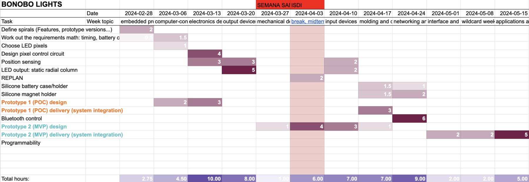 First version of project plan