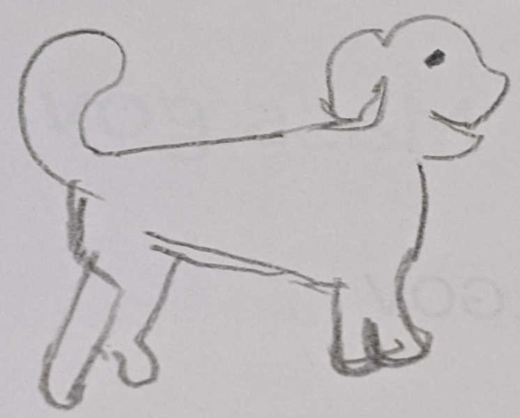 dog sketch