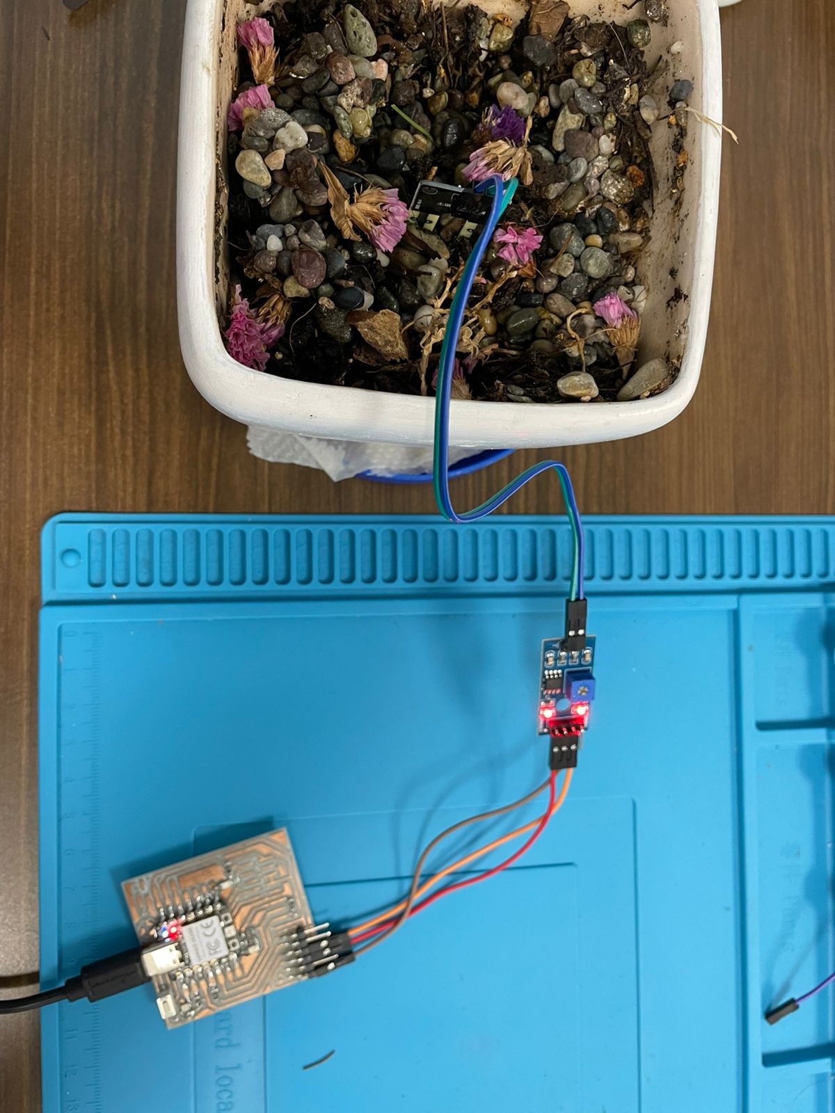 Soil1