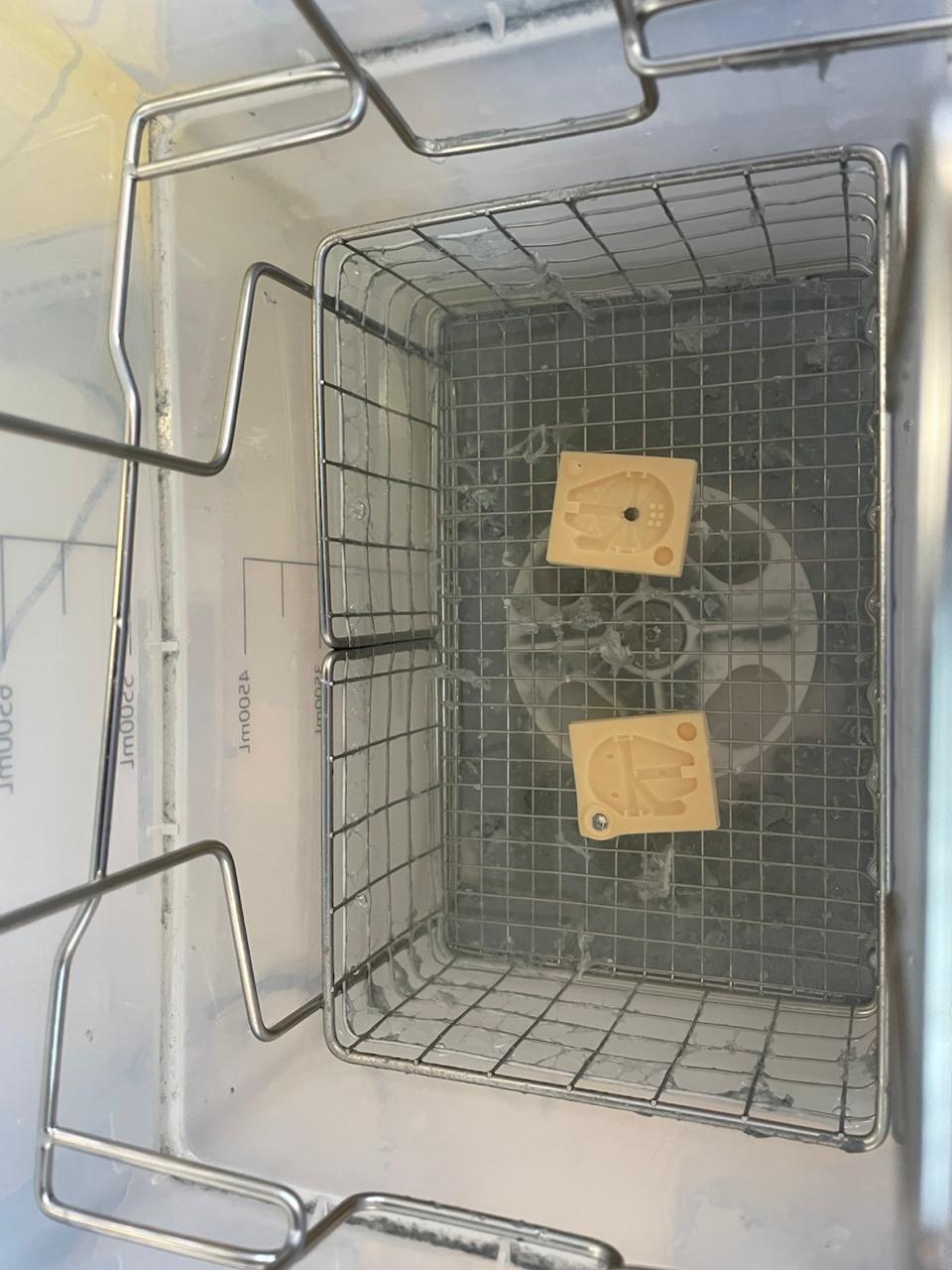 Washing the mold print in isopropyl alcohol