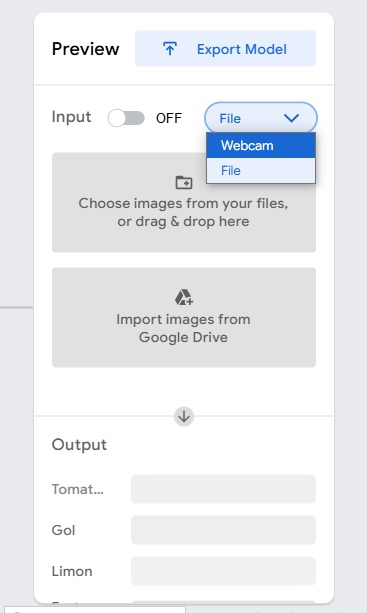 option preview