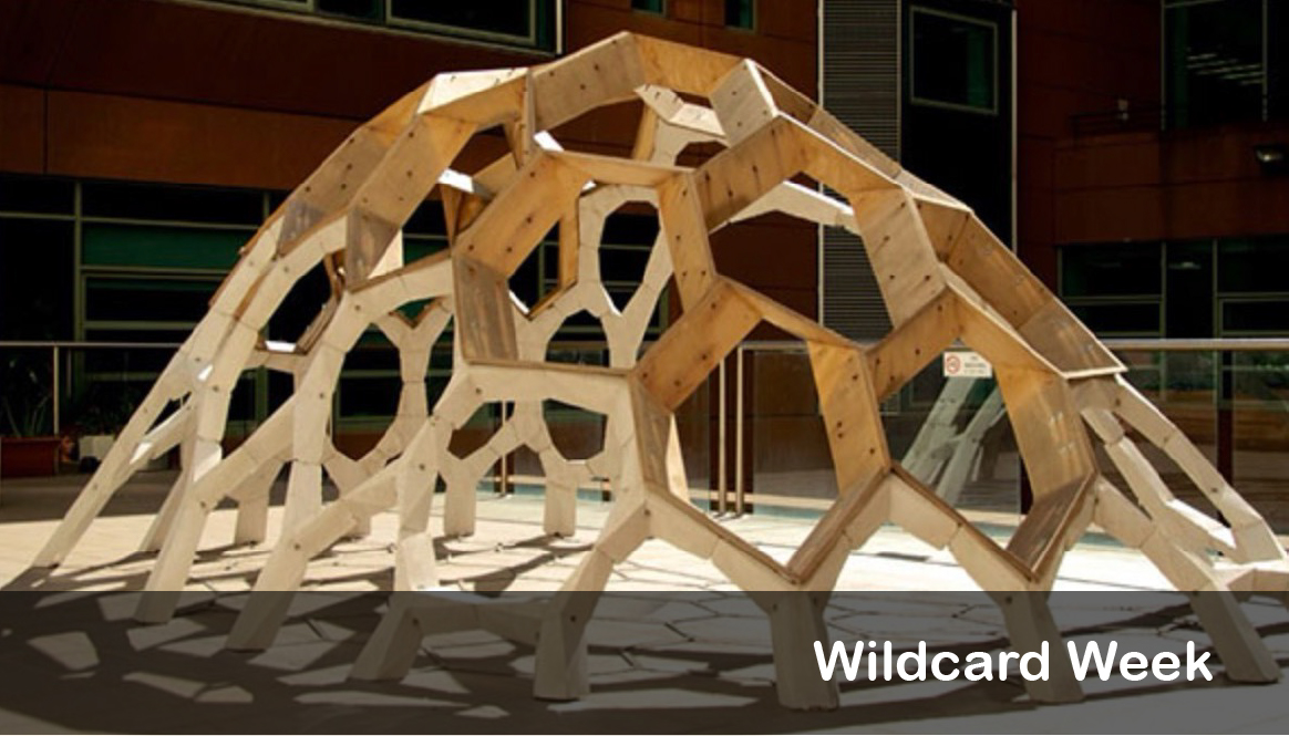 Himanshi Jain- Fab Academy