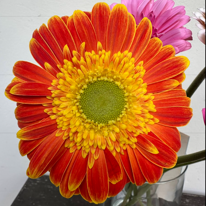 Flower background