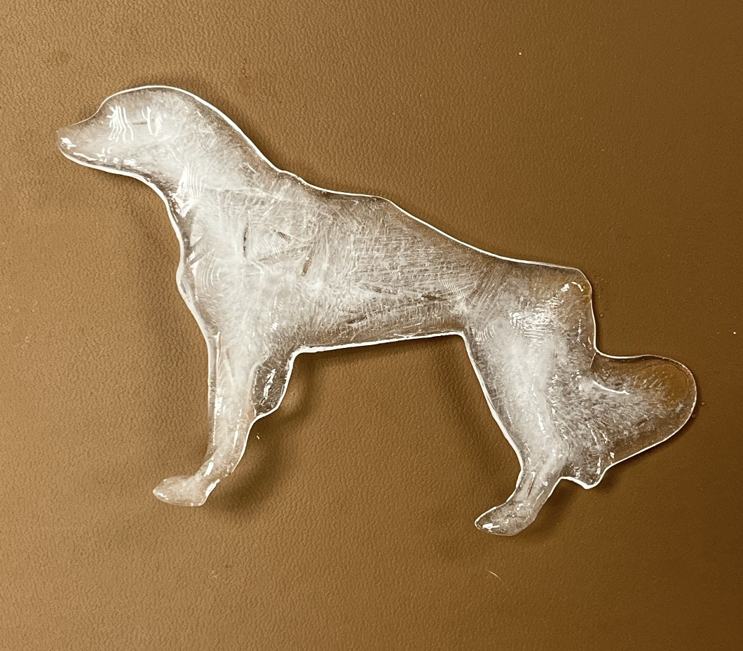 Frozen Dog