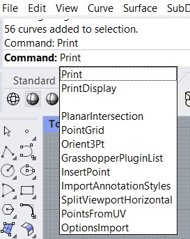 Print Command
