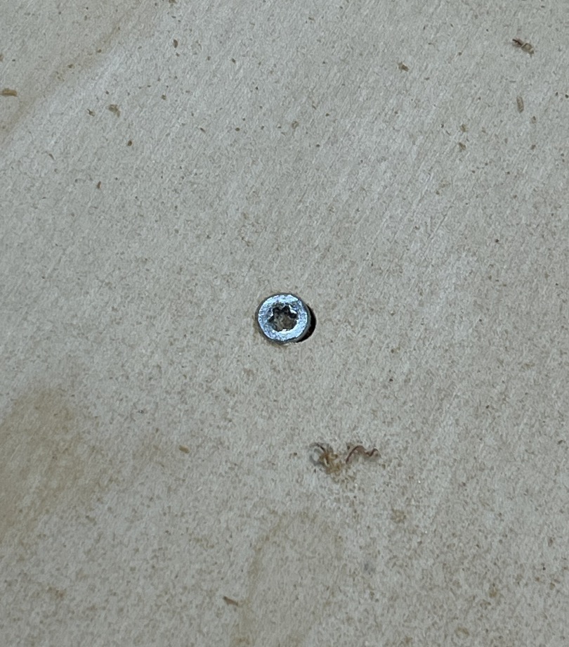 Placed Screws