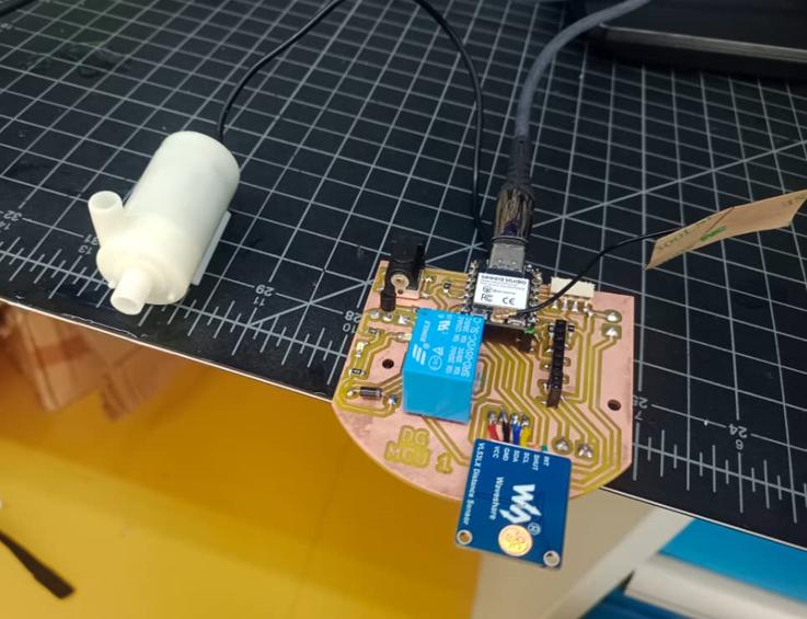 testing input and output
