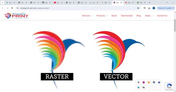 raster and vector image