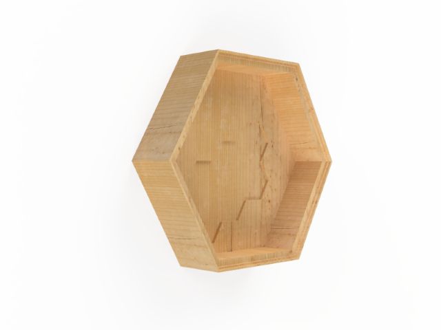 case