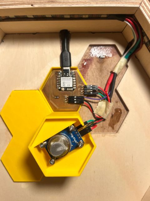 Inlay in the box