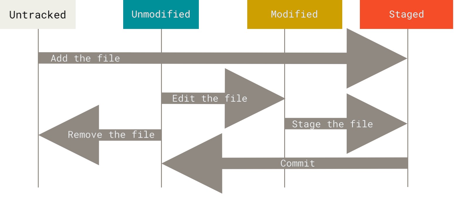 git basic