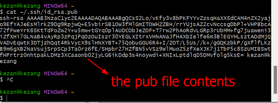 pub file