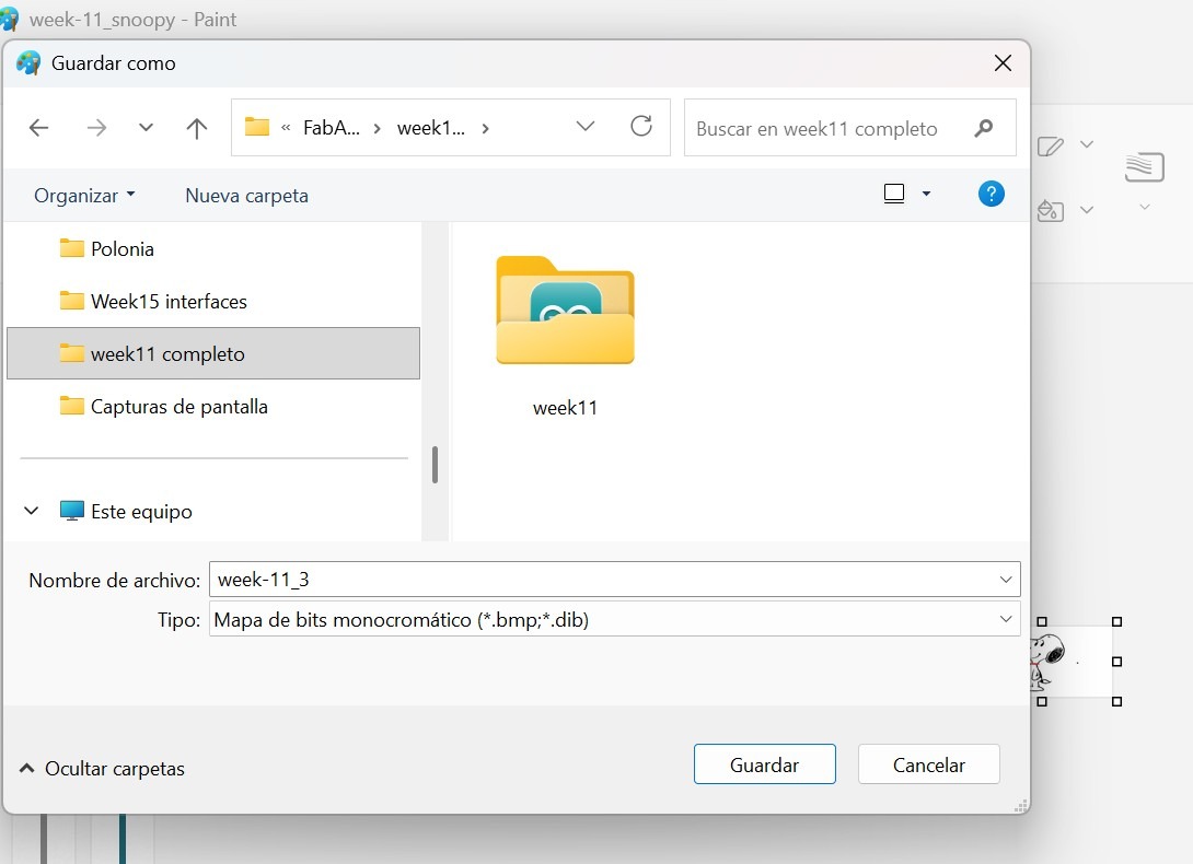 Paint — Save As dialog showing monochromatic BMP file type selected