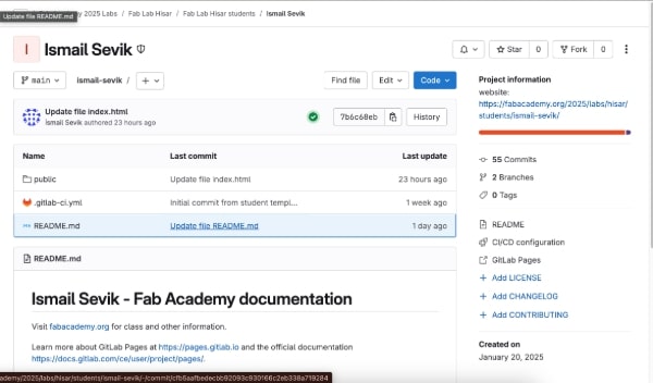 GitLab Home View