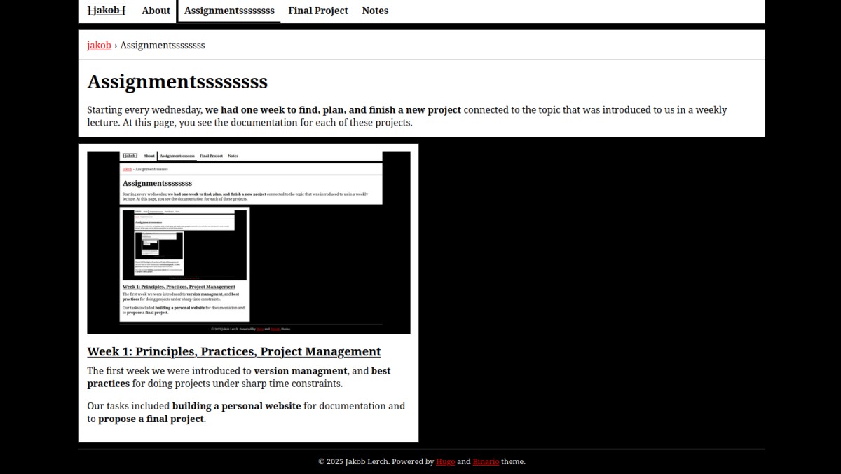 screenshot of the website