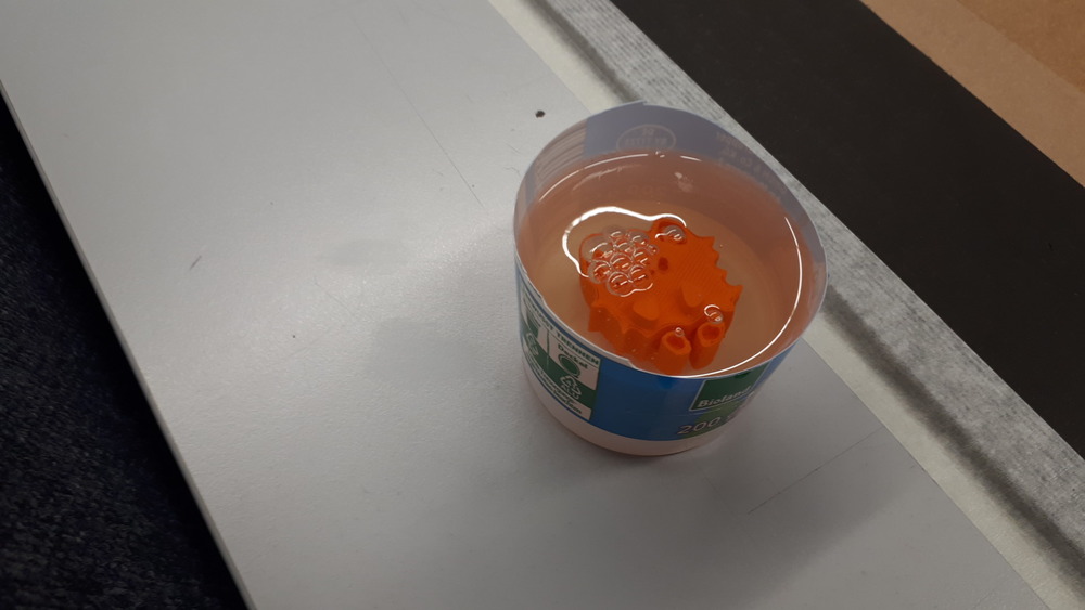 IMAGE_GELANTINE