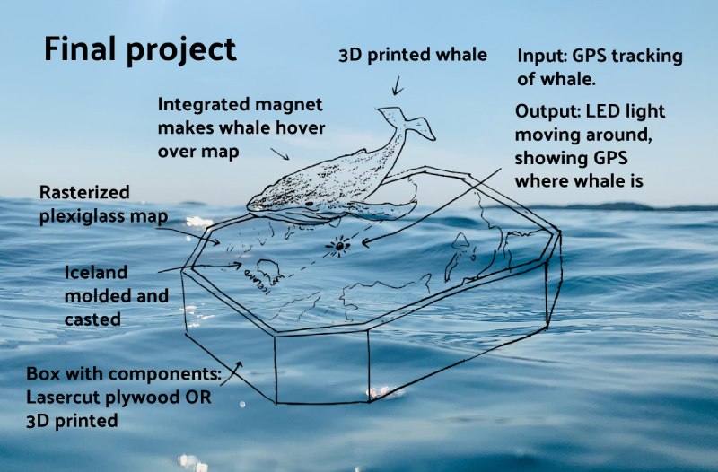 FinalProject