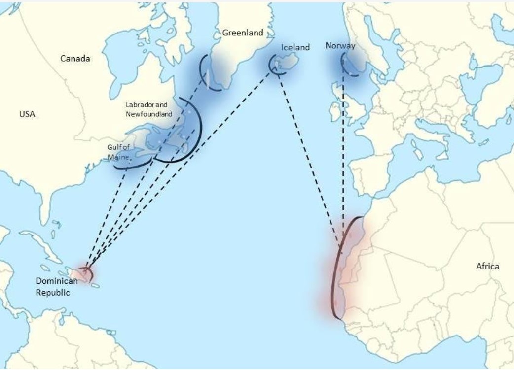 MapOfHumpbackTravelingRoutes