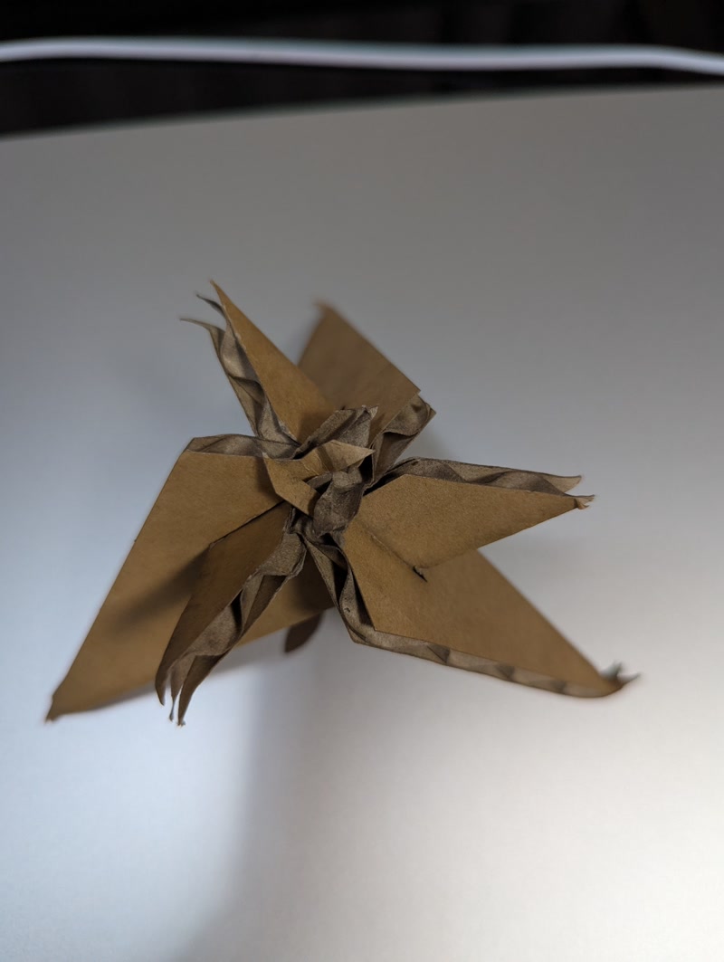 cardboard_model1.jpg