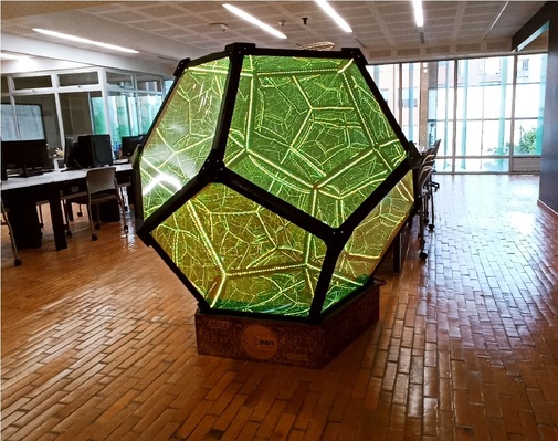 Dodecahedron Project