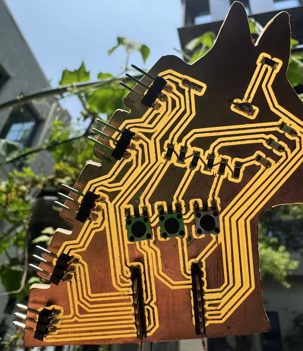 pony_pcb_2.jpg