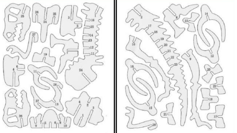 Dinosaur skeleton sketch