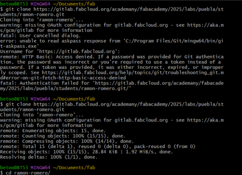 Repository cloning demonstration
