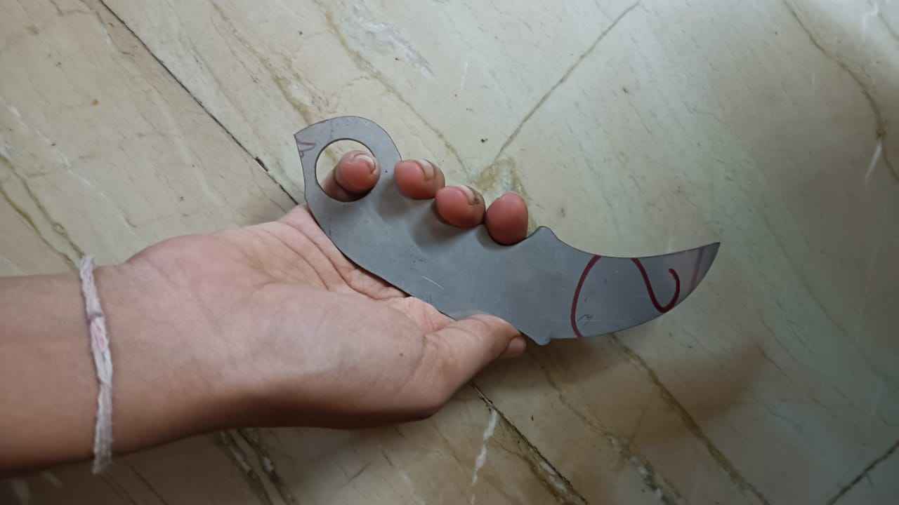 gimp1