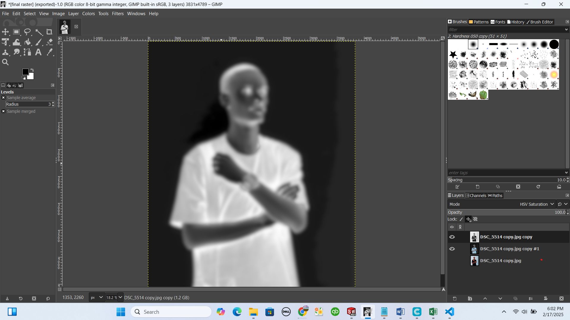 blur image