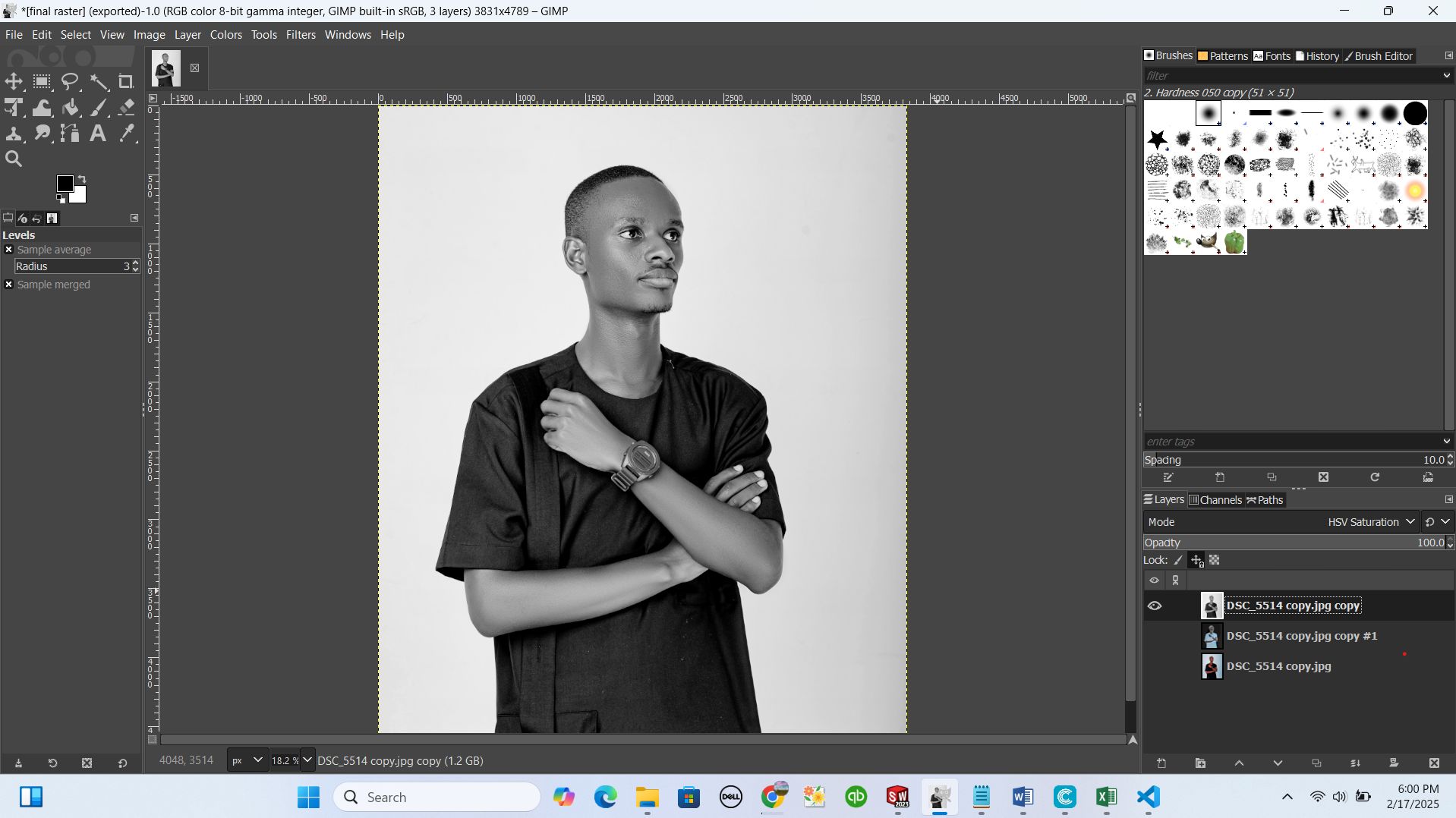 starting to edit my pic to be rasterized