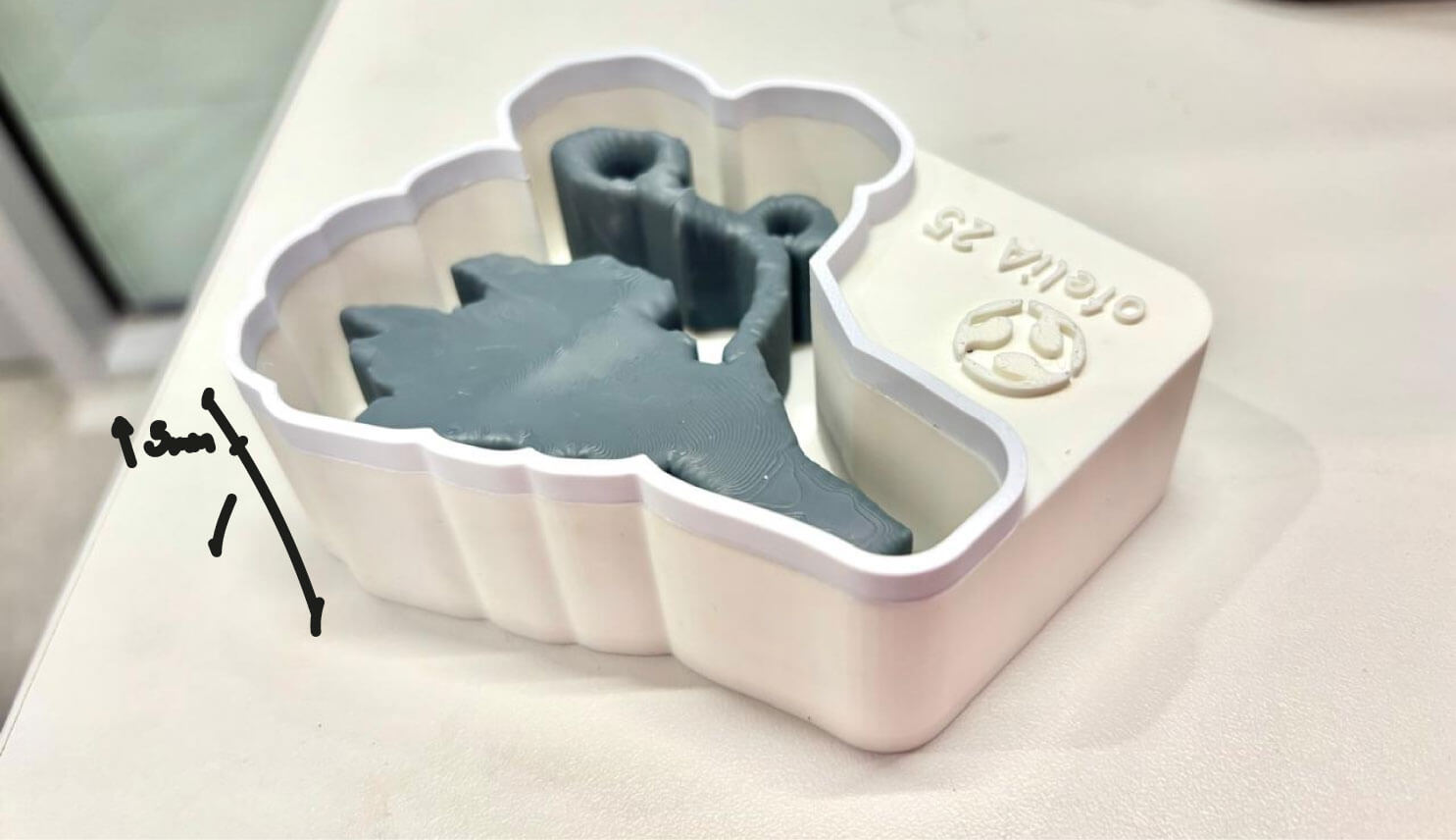 mold