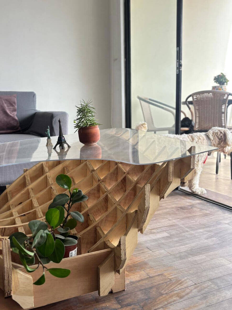 Table in my living room