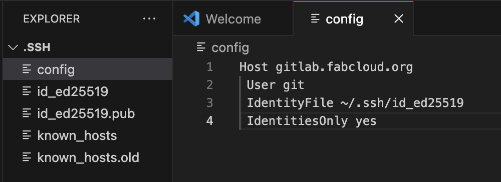 config file