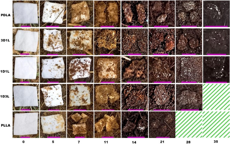 Decomposition Fig