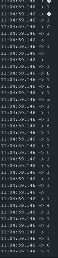 Serial Print
