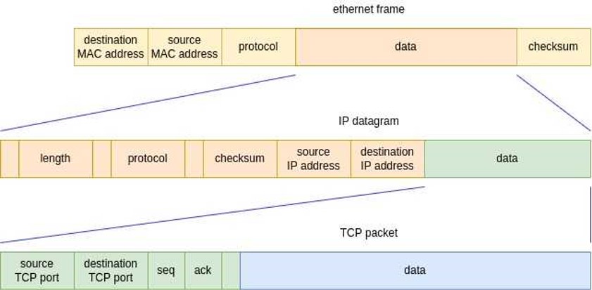 TCP / IP