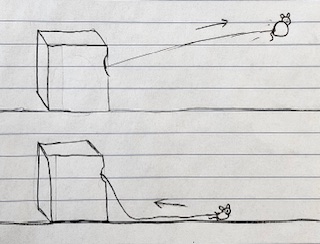 A sketch of the Cat Toy Launcher in action