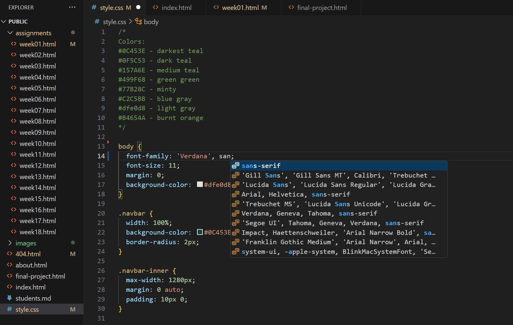 Screenshot of CSS file in Visual Studio