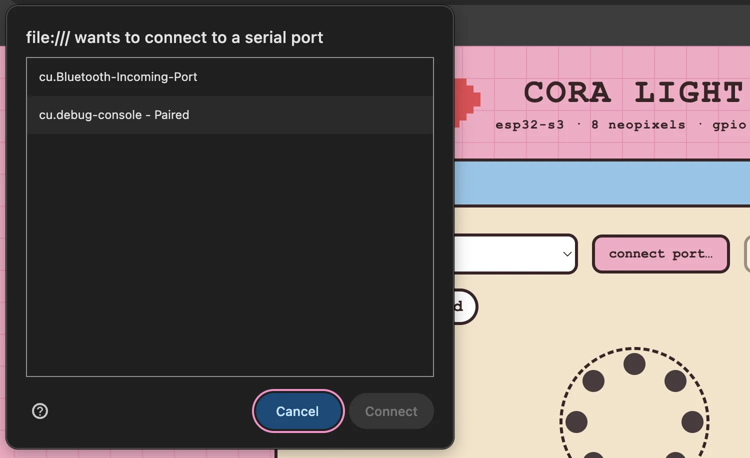 Connect Port