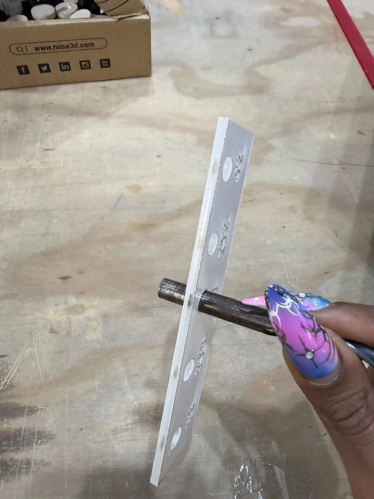 Rhino 8 - vector drawing