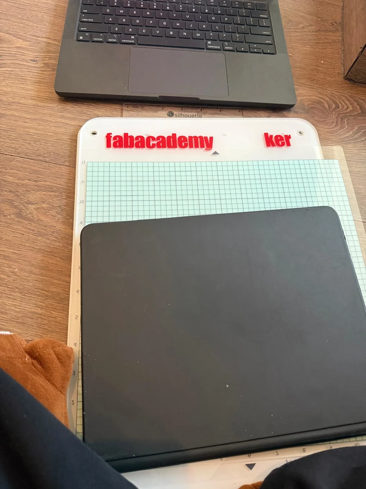 Rhino 8 - vector drawing