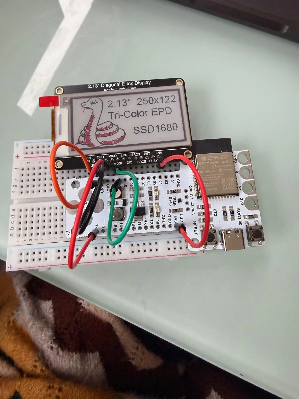 Rhino 8 - vector drawing