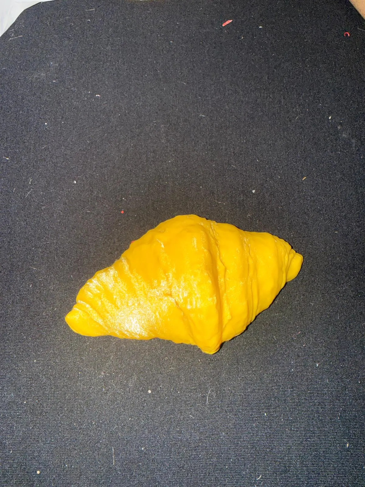 Rhino 8 - vector drawing